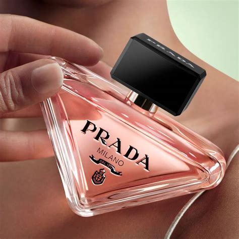 prada padox|prada paradox price.